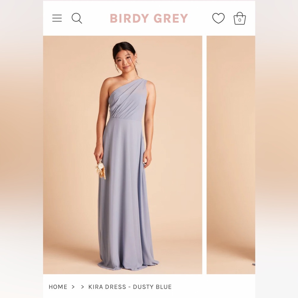 Birdy Grey Wedding/Party/Bridesmaid Dress in Dusty Blue